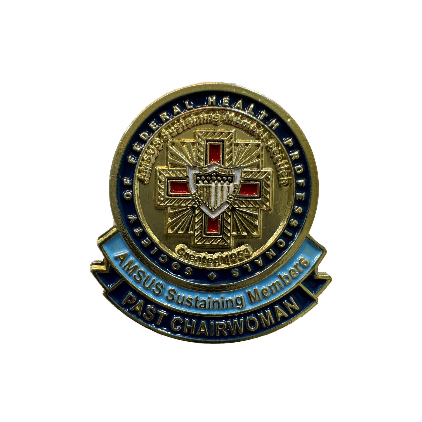 Past Chairwoman Medical Badge